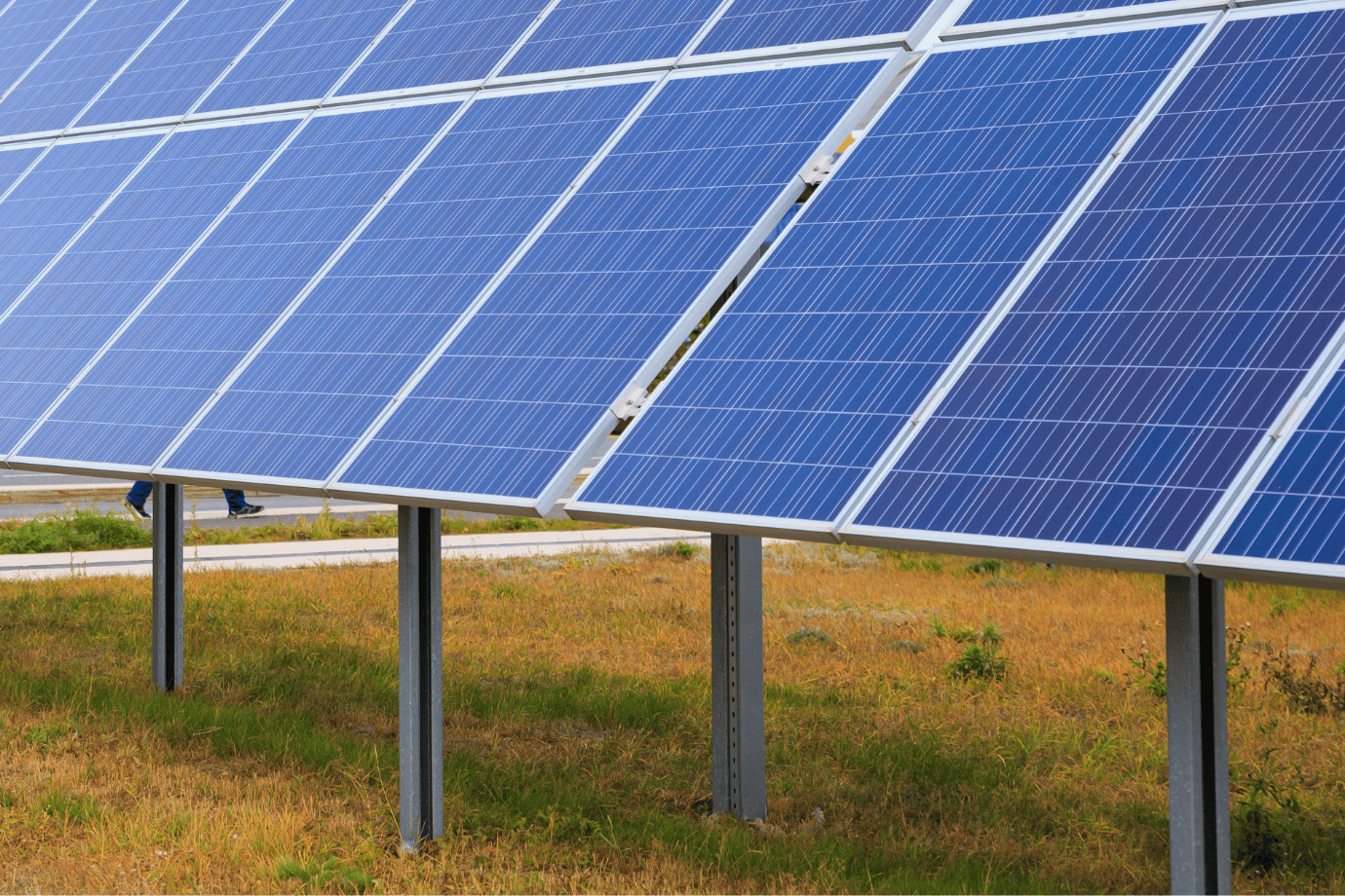 solar-panels-on-ground-mount